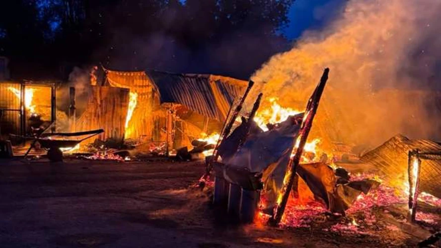 Пожежа у притулку «Сіріус» на Київщині: хронологія, цифри, кваліфікація