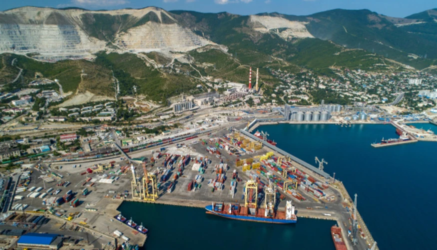 MSC призупинила бронювання рейсів до Новоросійська: пояснення компанії